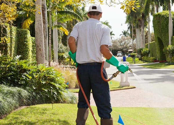 About Jay FL Pest Control Pros